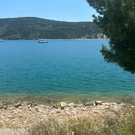 Markus Trogir