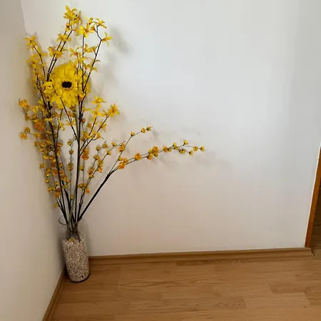 Markus Apartamento Trogir